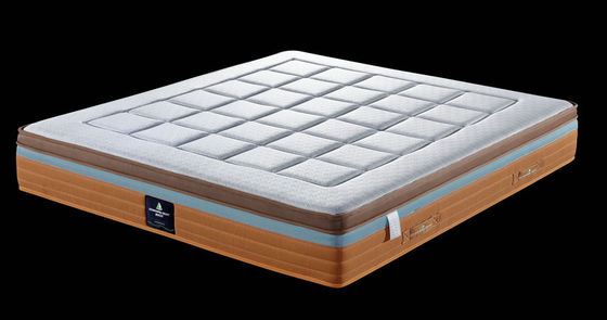 সাইলেন্ট নাইট 30 সেমি পকেট স্প্রিং ফোম গদি