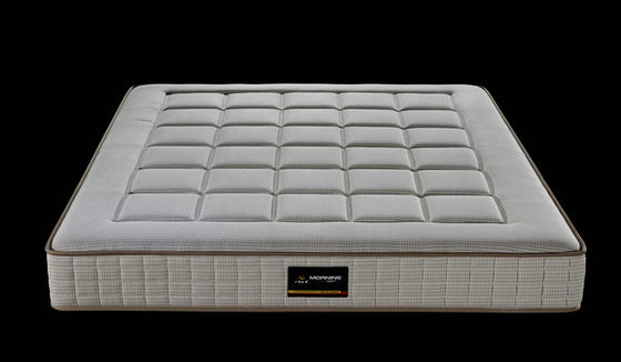 সিলিয়েন্ট নাইট লিনেন তারেক 4000 পকেট স্প্রিং গদি